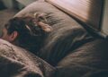 Vrouw ligt diep te slapen in een bed met wit beddengoed