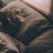 Vrouw ligt diep te slapen in een bed met wit beddengoed