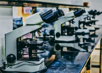 Onderzoeker kijkt door een microscoop in een laboratorium