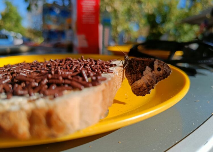 Boterham met chocoladehagelslag naast een boterham met chocoladevlokken