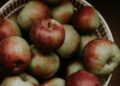 Rode en groene appels in een krat in een boomgaard
