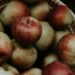 Rode en groene appels in een krat in een boomgaard